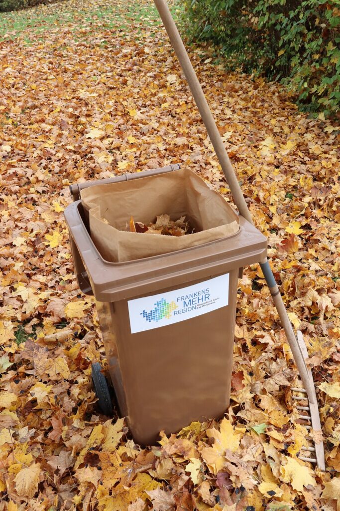 Leider konnte das Bild nicht geladen werden