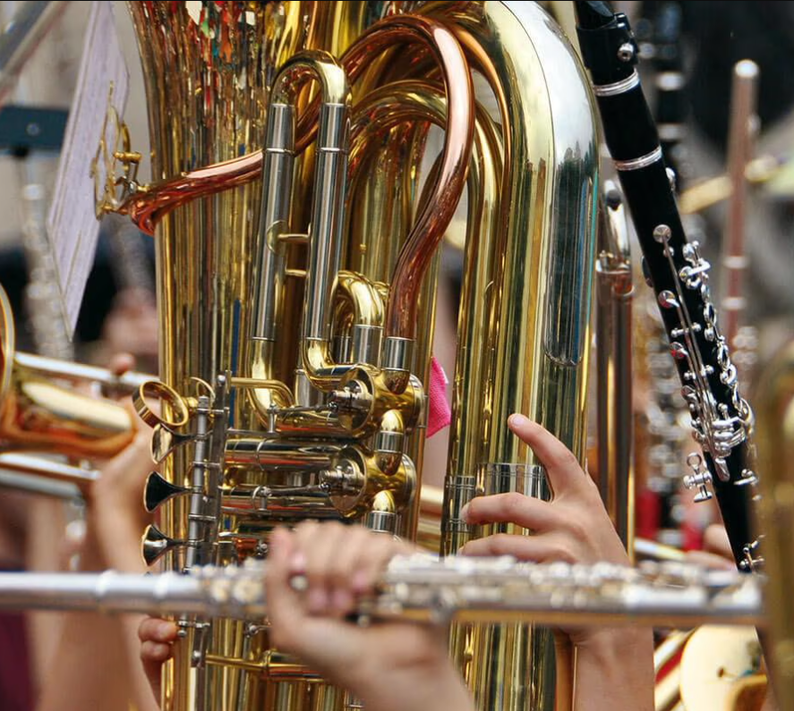 Leider konnte das Bild nicht geladen werden