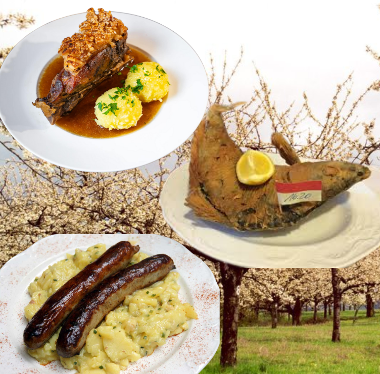 Leider konnte das Bild nicht geladen werden