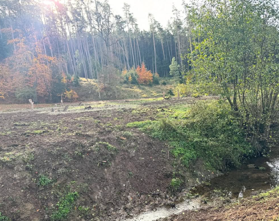 Leider konnte das Bild nicht geladen werden