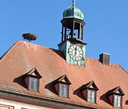 Leider konnte das Bild nicht geladen werden