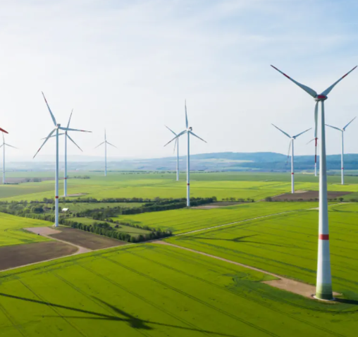 Leider konnte das Bild nicht geladen werden