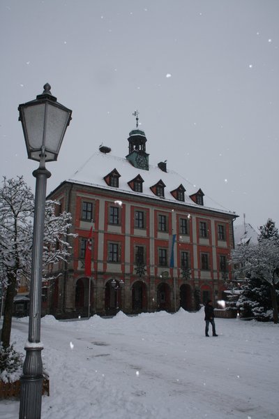 Leider konnte das Bild nicht geladen werden