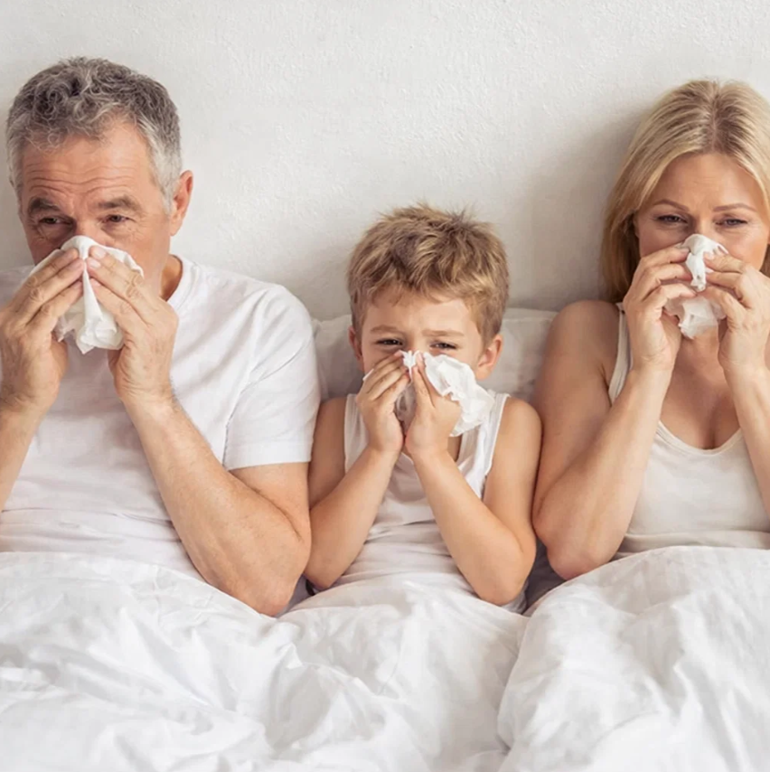 Leider konnte das Bild nicht geladen werden