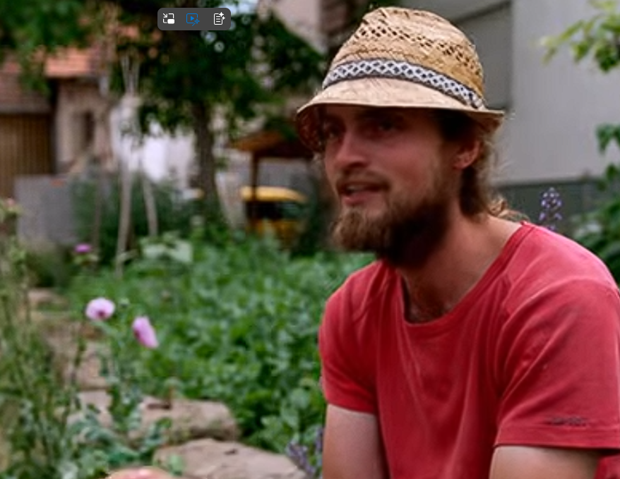 Leider konnte das Bild nicht geladen werden