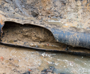 Leider konnte das Bild nicht geladen werden