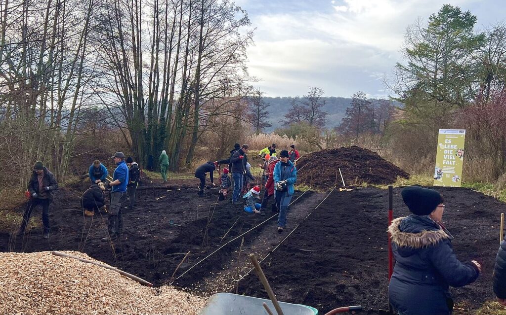 Leider konnte das Bild nicht geladen werden