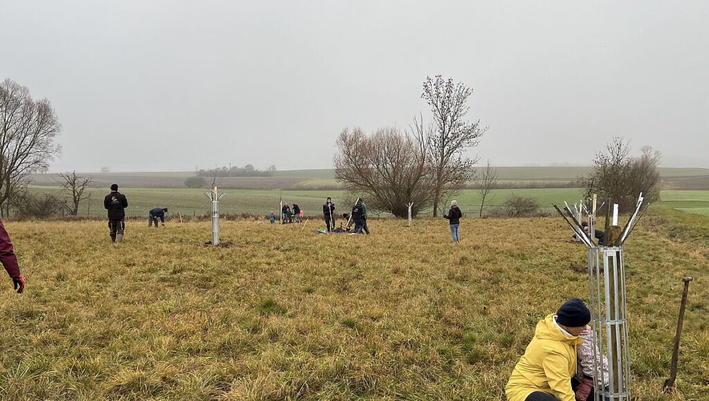 Leider konnte das Bild nicht geladen werden