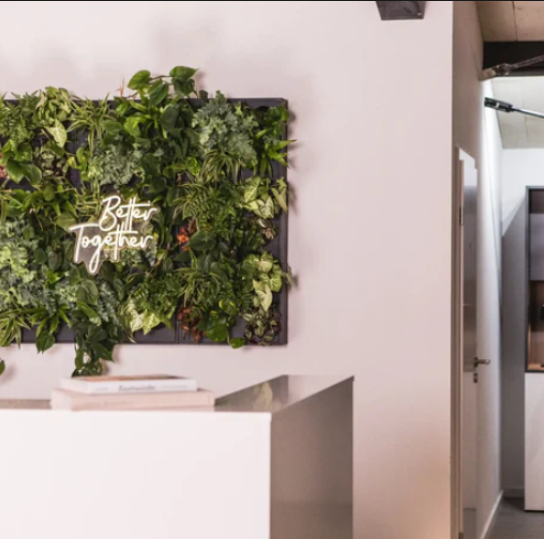 Leider konnte das Bild nicht geladen werden