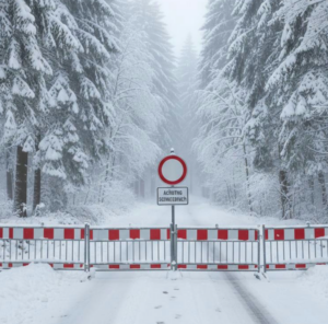 Leider konnte das Bild nicht geladen werden