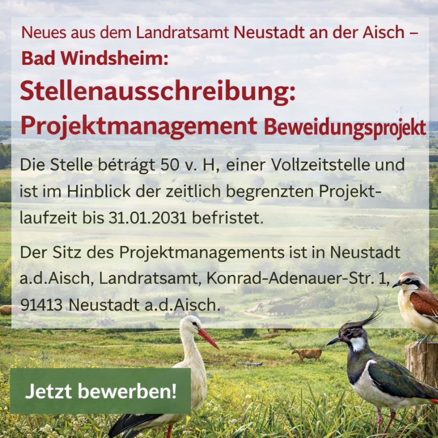 Leider konnte das Bild nicht geladen werden