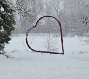 Leider konnte das Bild nicht geladen werden