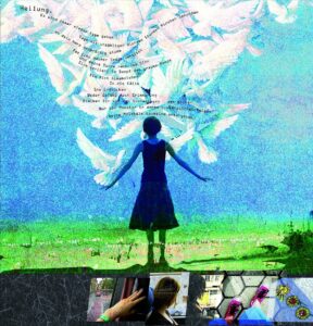 Leider konnte das Bild nicht geladen werden