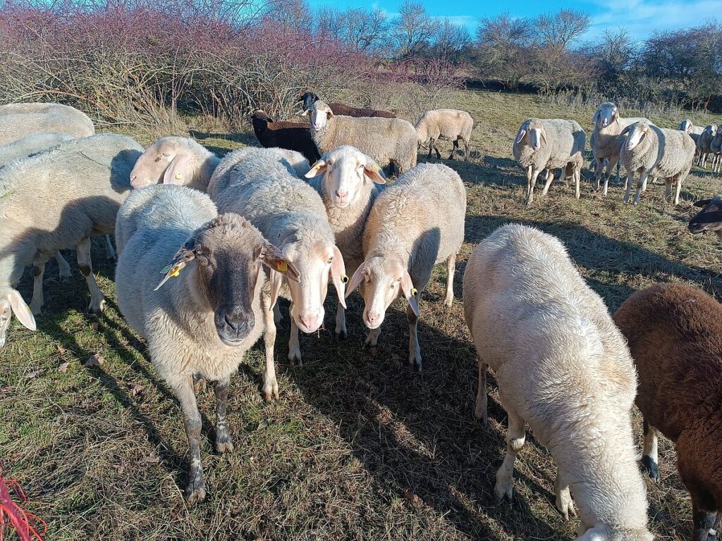 Leider konnte das Bild nicht geladen werden