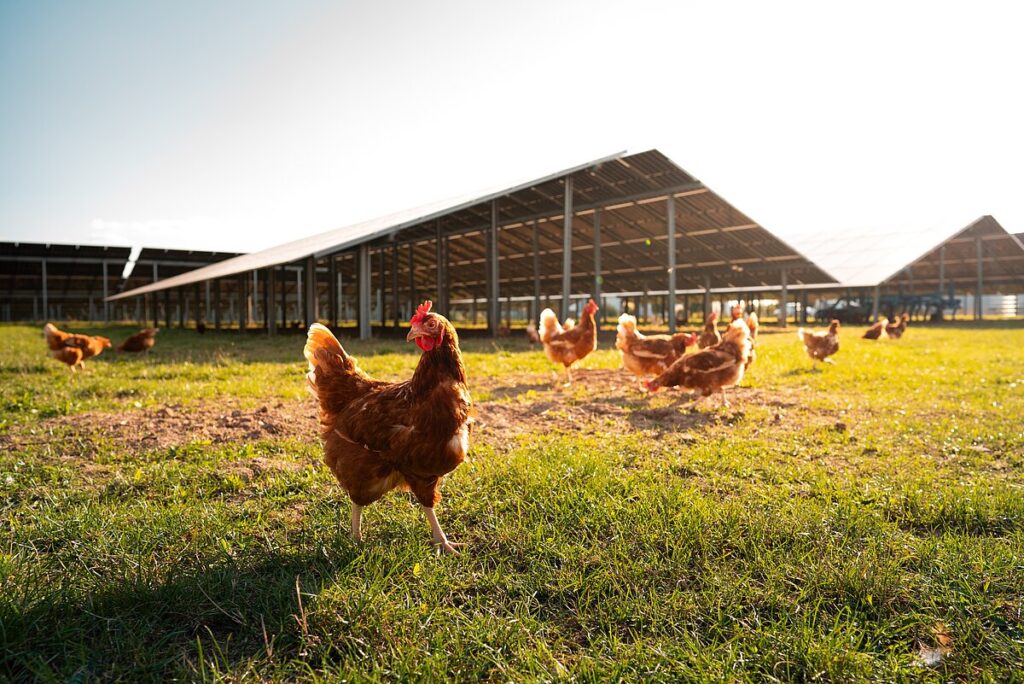Leider konnte das Bild nicht geladen werden