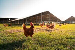 Leider konnte das Bild nicht geladen werden