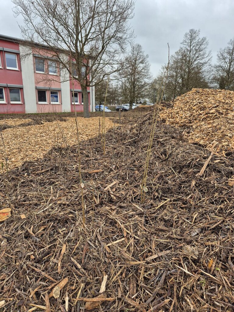 Leider konnte das Bild nicht geladen werden