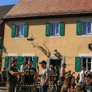 Leider konnte das Bild nicht geladen werden