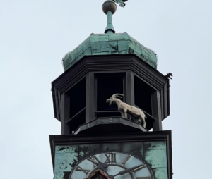 Leider konnte das Bild nicht geladen werden