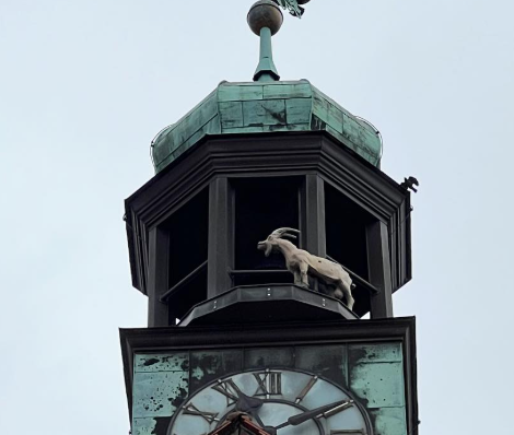 Leider konnte das Bild nicht geladen werden