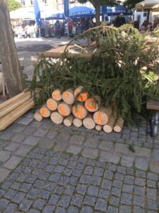 Leider konnte das Bild nicht geladen werden