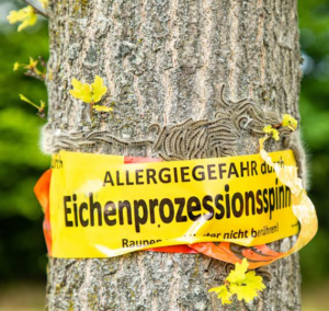 Leider konnte das Bild nicht geladen werden